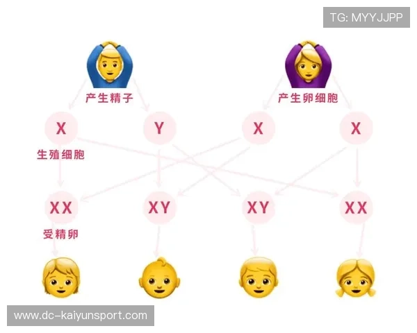性别检测的伦理：染色体与自我认同的冲突，性别染色体检查过程