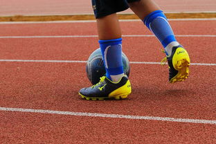 开云官网首页-牙买加打造国际运动新品牌，牙买加运动项目